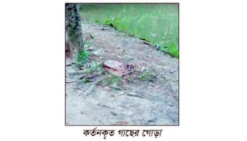 চুনারুঘাটে নিরীহ ব্যক্তির জায়গা দখলের চেষ্টা ও হামলার অভিযোগ