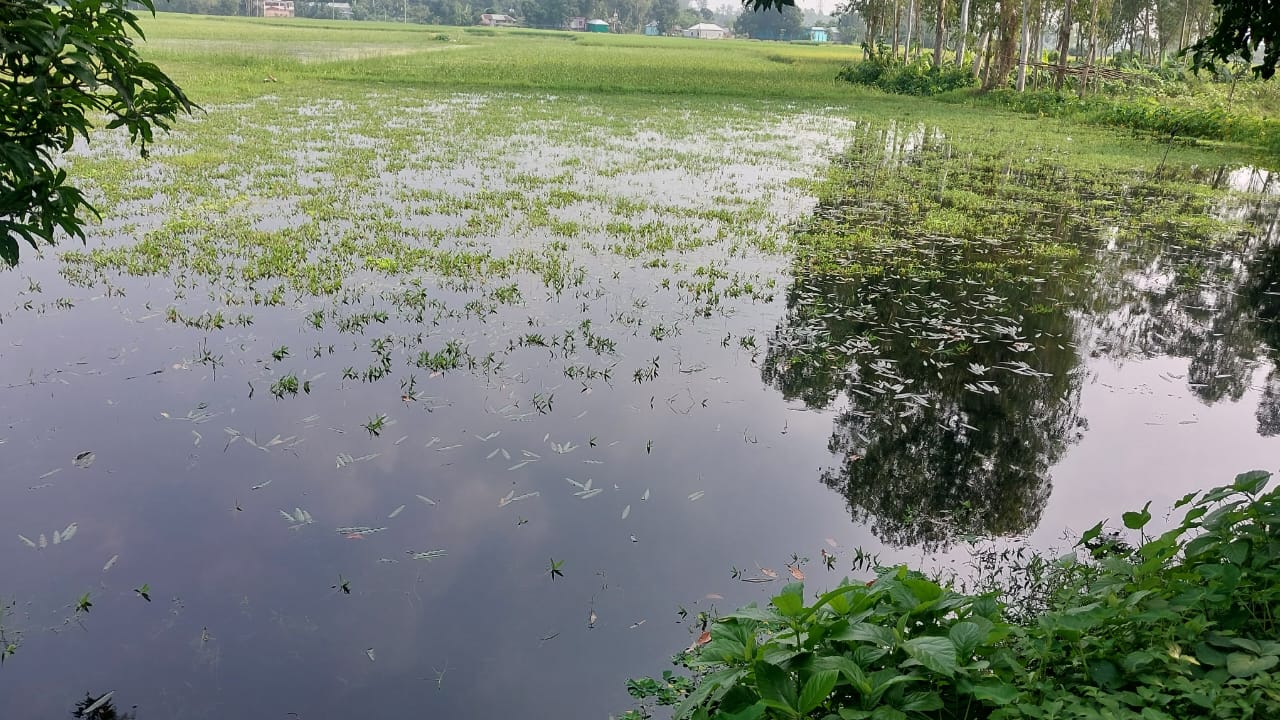 কামারখন্দে দলীয় প্রভাবে জলাধারের মুখ বন্ধ করে বাড়ি নির্মাণ করেছেন নায়েব রেজাউল করিম