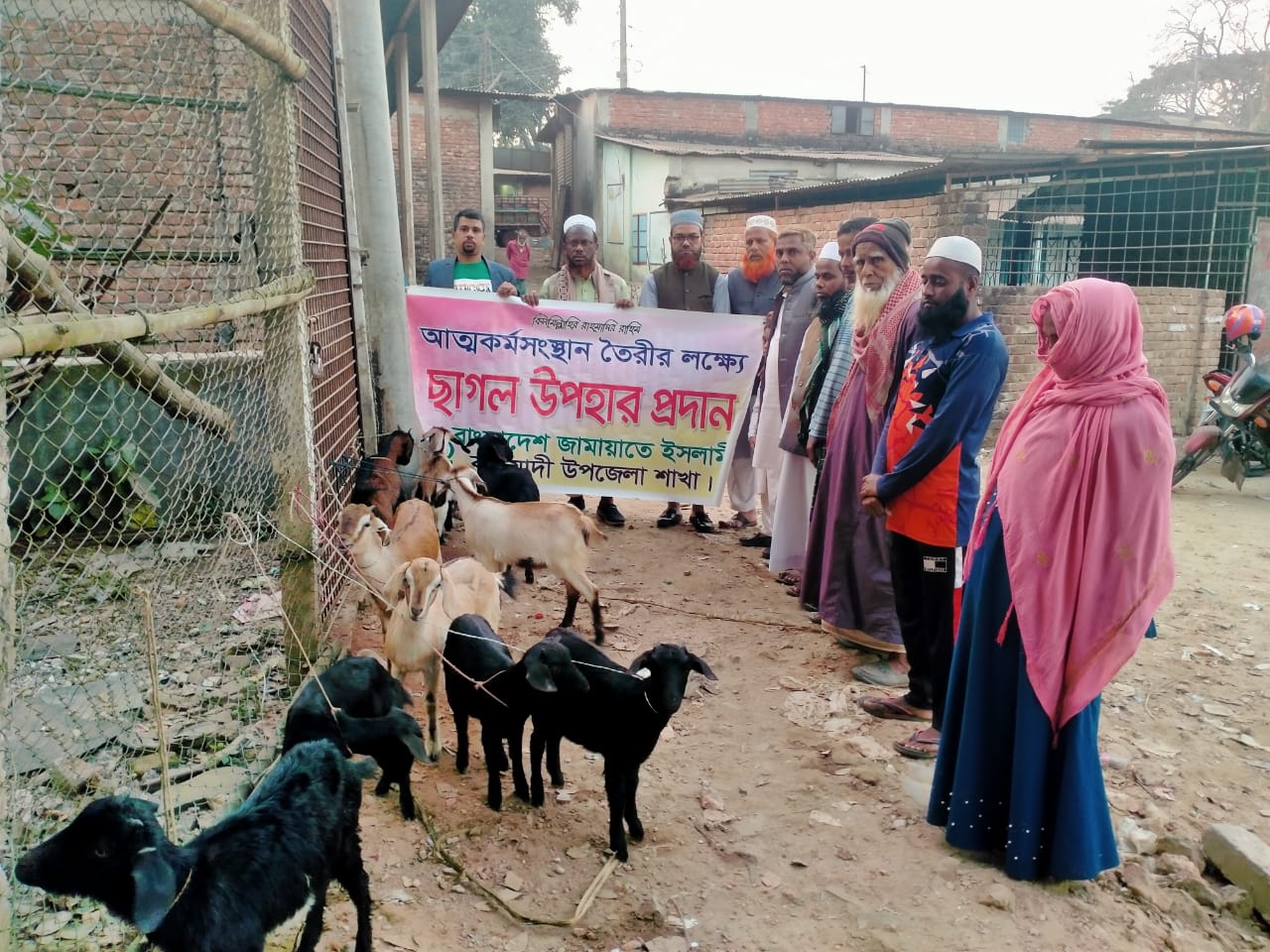 কটিয়াদীতে আত্মকর্মসংস্থানের লক্ষ্যে জামায়াতের ছাগল বিতরণ