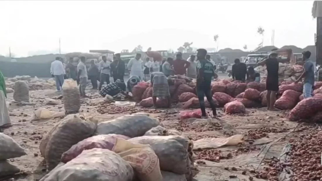 রপ্তানি বন্ধ, বাংলাদেশ সীমান্তে পচছে ৩০ হাজার টন ভারতীয় পেঁয়াজ